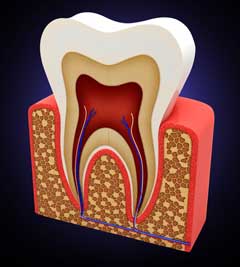ενδοδοντια πειραια