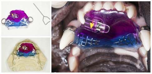 σκυλο μασελες